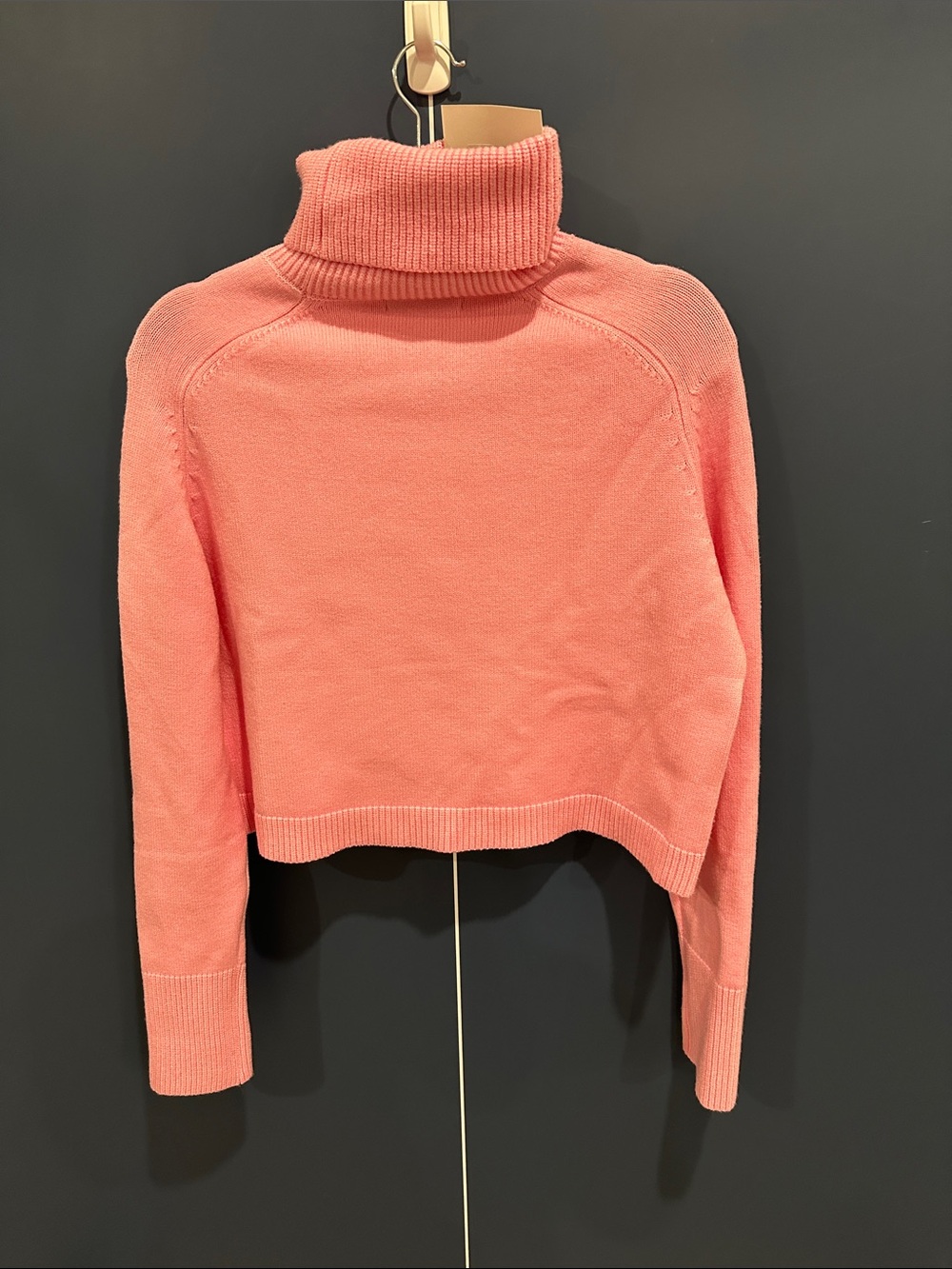 DÈLUC Pugliese Pink Cropped Turtleneck Sweater NWT L